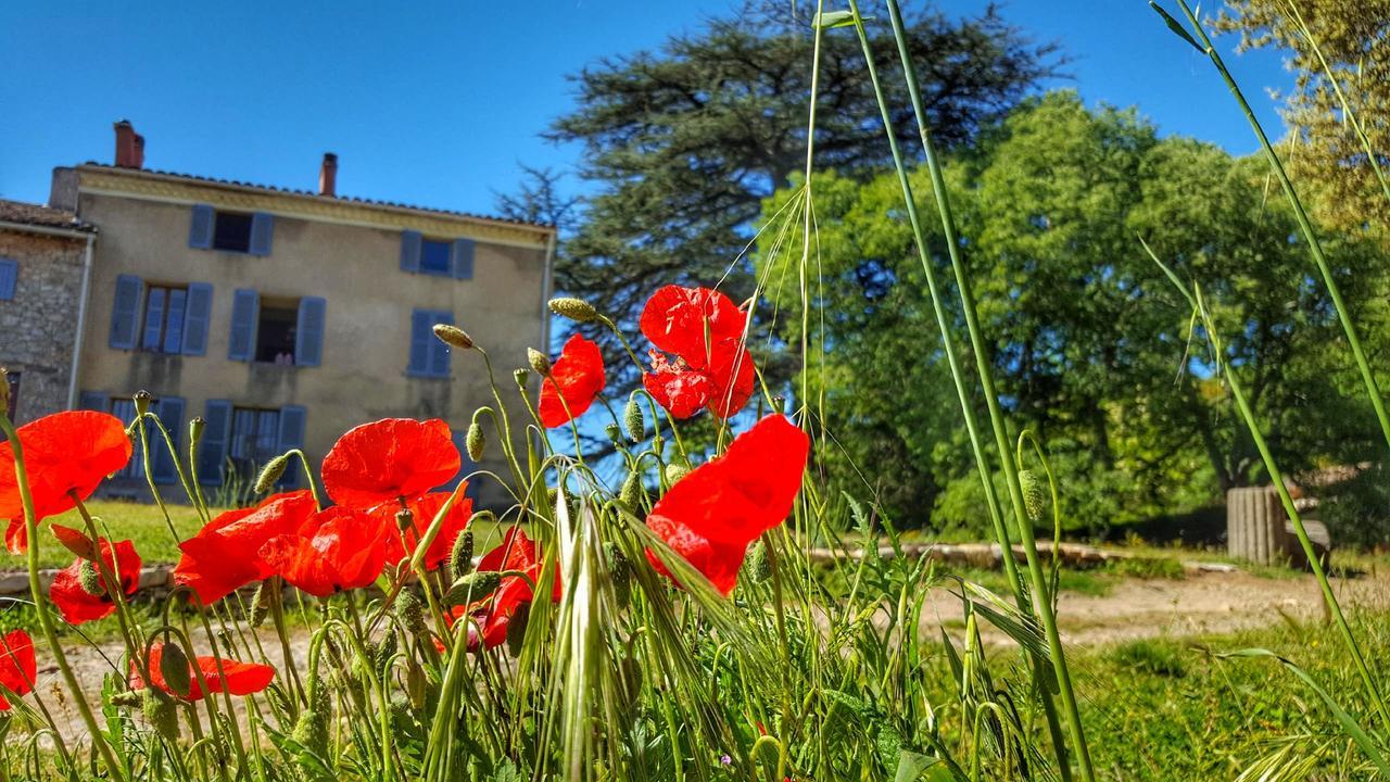 Le Domaine Saint Martin Bed and Breakfast Flassans-sur-Issole Eksteriør billede